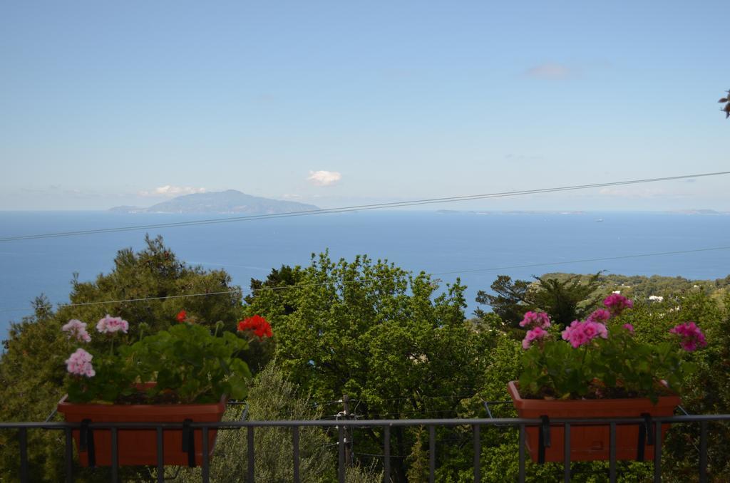 Le Ginestre Di Capri Bb & Holiday House アナカプリ エクステリア 写真