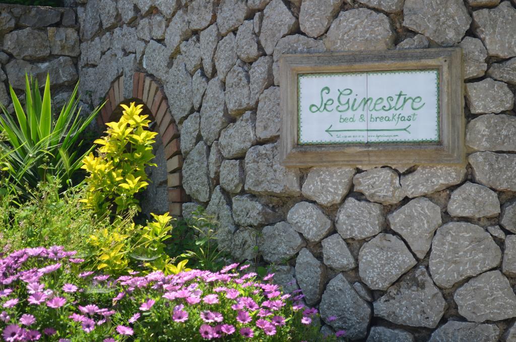 Le Ginestre Di Capri Bb & Holiday House アナカプリ エクステリア 写真