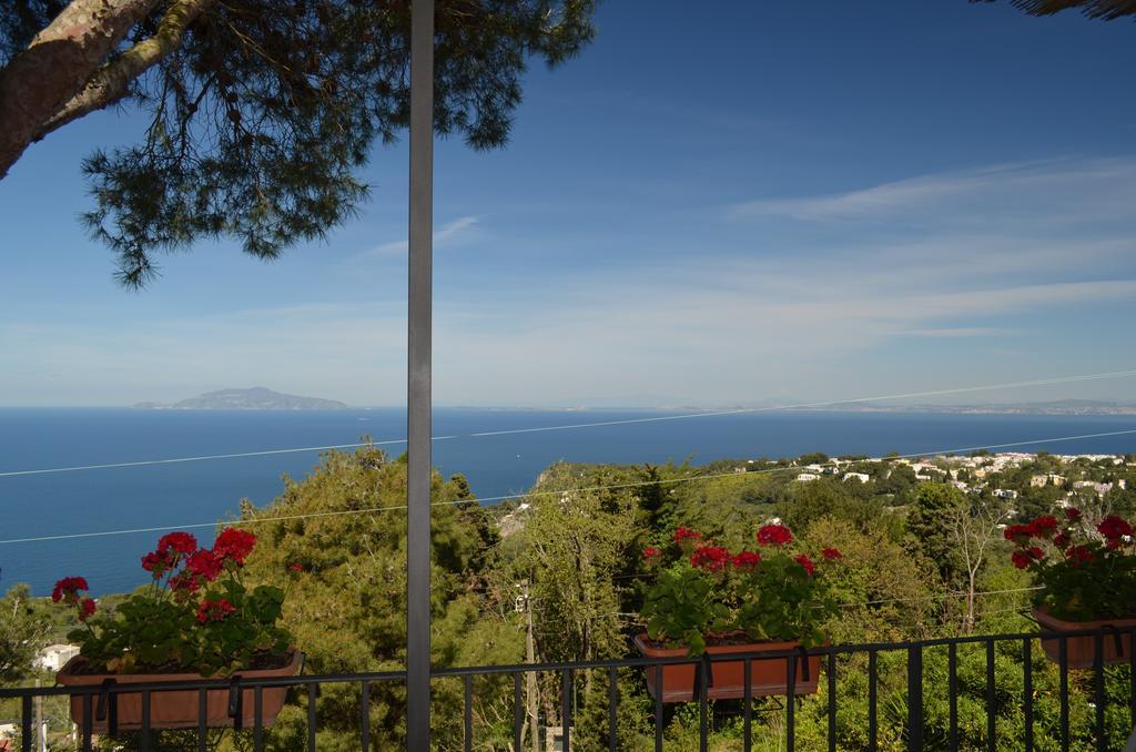 Le Ginestre Di Capri Bb & Holiday House アナカプリ エクステリア 写真