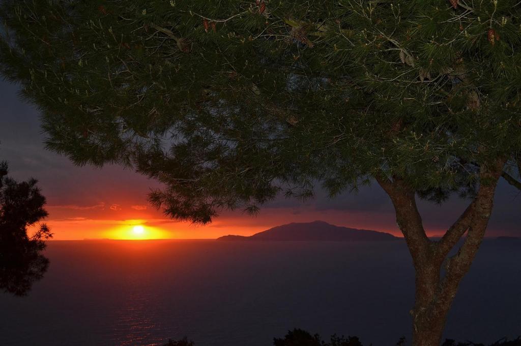 Le Ginestre Di Capri Bb & Holiday House アナカプリ 部屋 写真