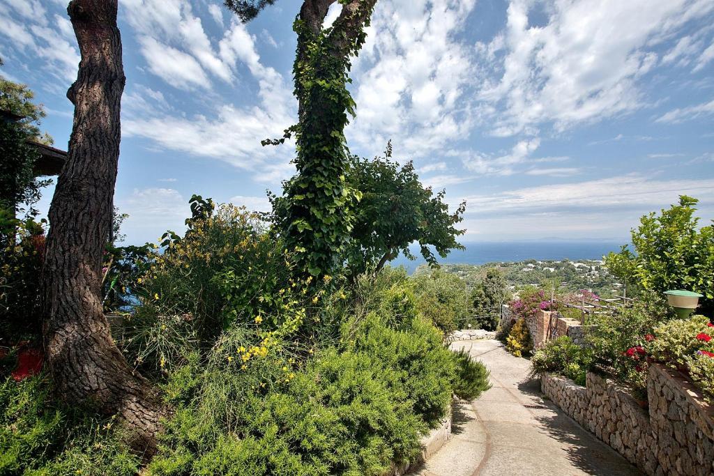 Le Ginestre Di Capri Bb & Holiday House アナカプリ エクステリア 写真