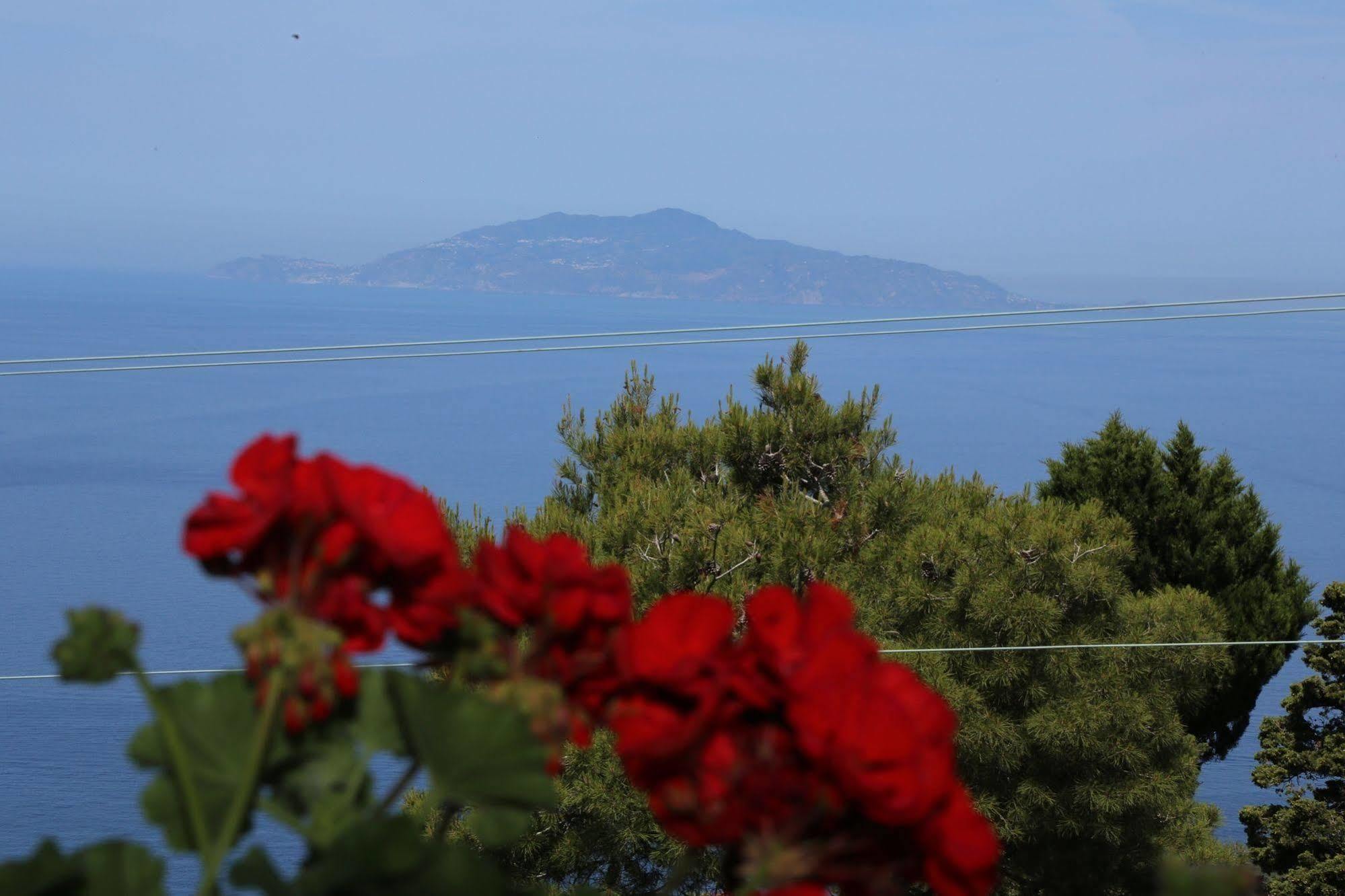 Le Ginestre Di Capri Bb & Holiday House アナカプリ エクステリア 写真