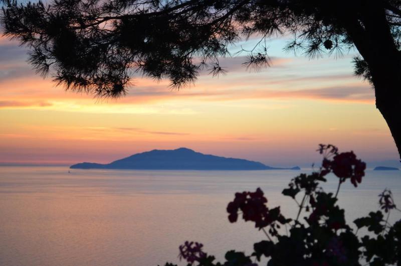 Le Ginestre Di Capri Bb & Holiday House アナカプリ エクステリア 写真